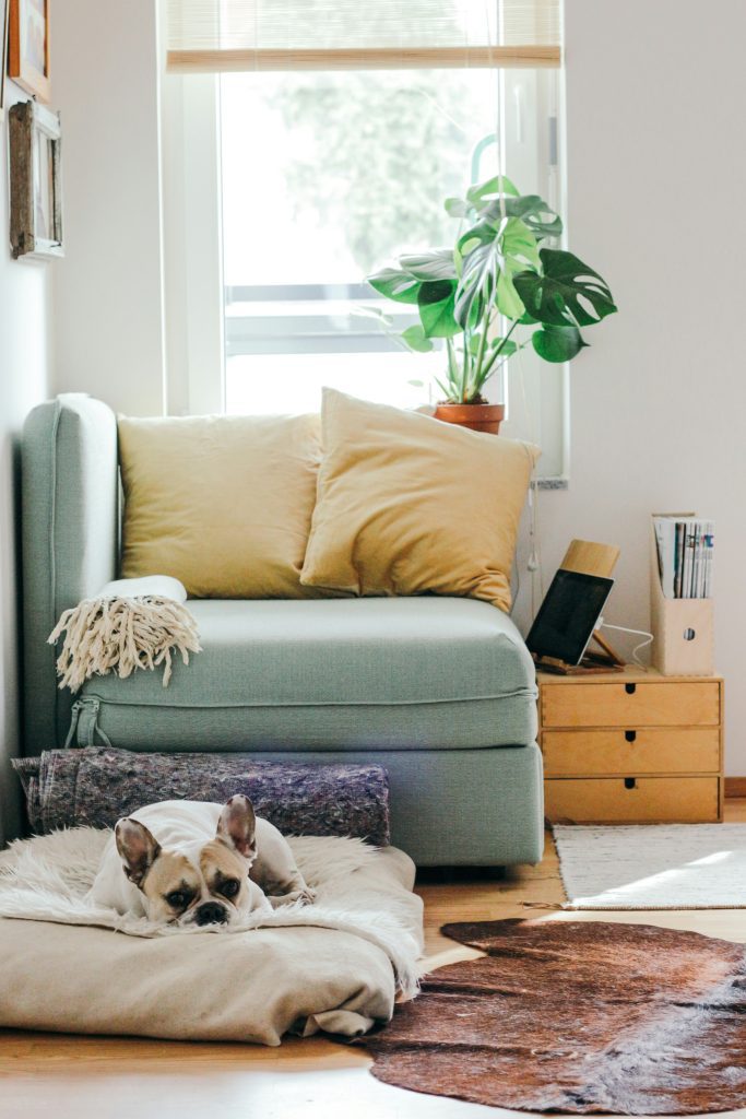 Règlement intérieur airbnb